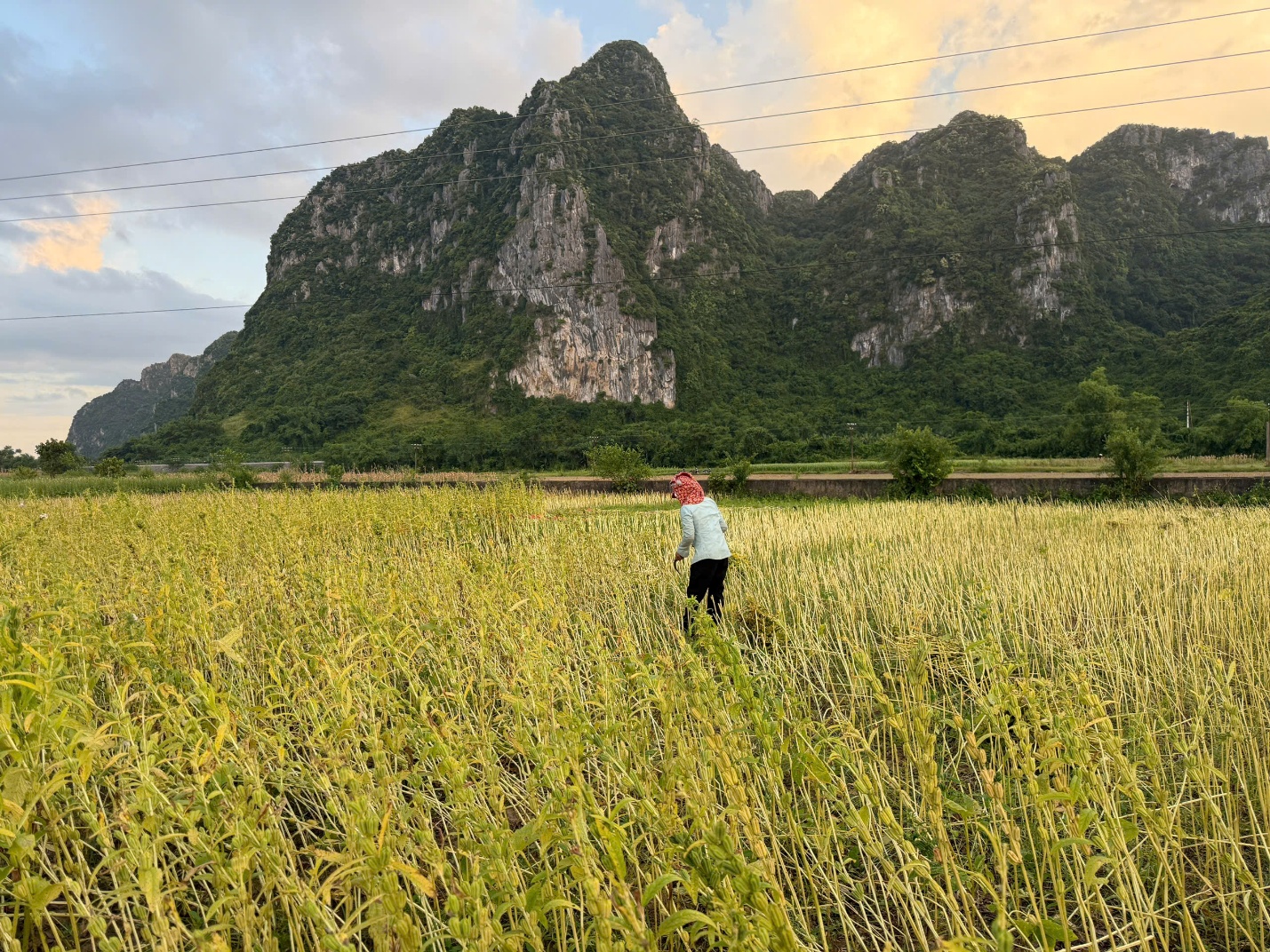 Lệ Sơn - Ngôi làng tiềm năng du lịch giữa lòng Trường Sơn - 7
