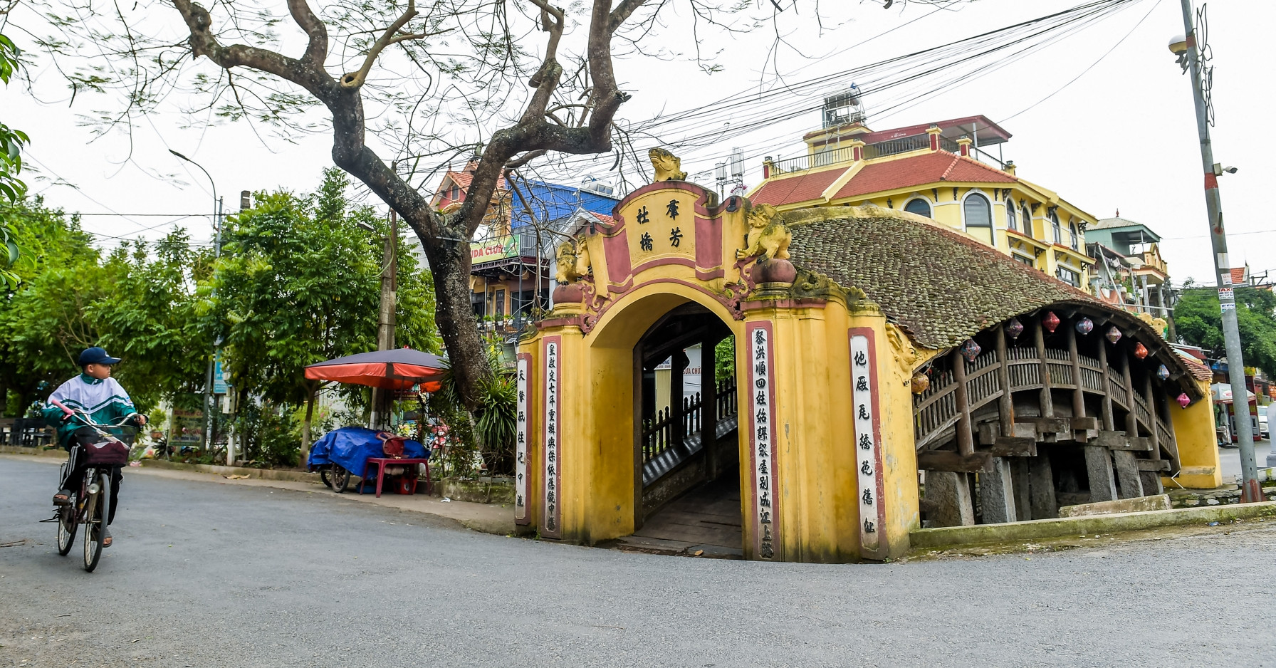 3 cay cau ngoi hang tram nam tuoi o ninh binh khien du khach me man 766