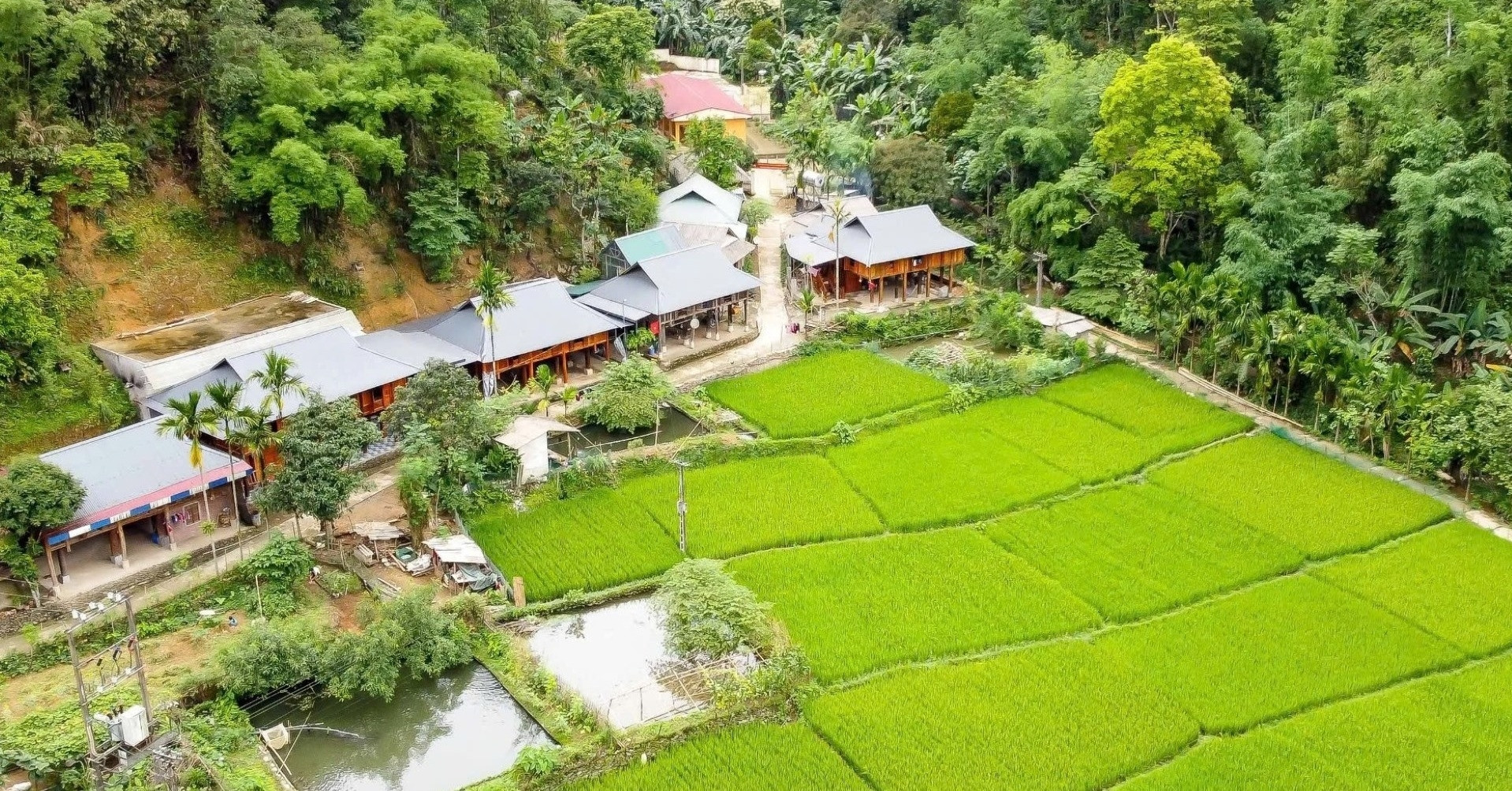 ban lang an minh trong thung lung o thanh hoa hut du khach toi trai nghiem 120539