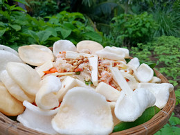 củ hũ dừa đặc sản miền tây