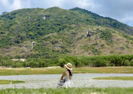 ho so bong tran ngoc dung.jpg