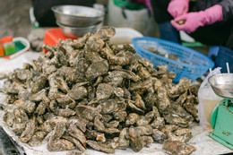 lang chai phuoc hai 3579