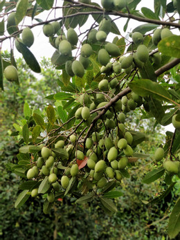 ng tấn đạt 2.jpg