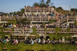 xiapu 008 113587