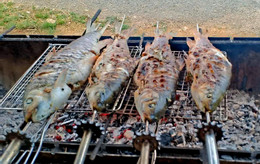 Cá nướng thơm ngon